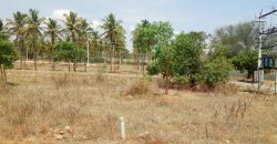 1200 Sqft South Face Residential Site Sale Suvarna Layout, Mysore