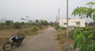 1200 Sqft North Face Residential Site Sale Srirampura, Mysore