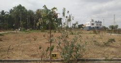 1200 Sqft North Face Residential Site Sale University Layout, Mysore