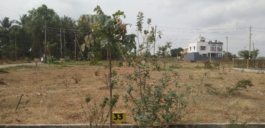 1200 Sqft North Face Residential Site Sale University Layout, Mysore