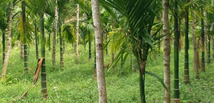 2 Acres Land Sale Kushal Nagar, Coorg