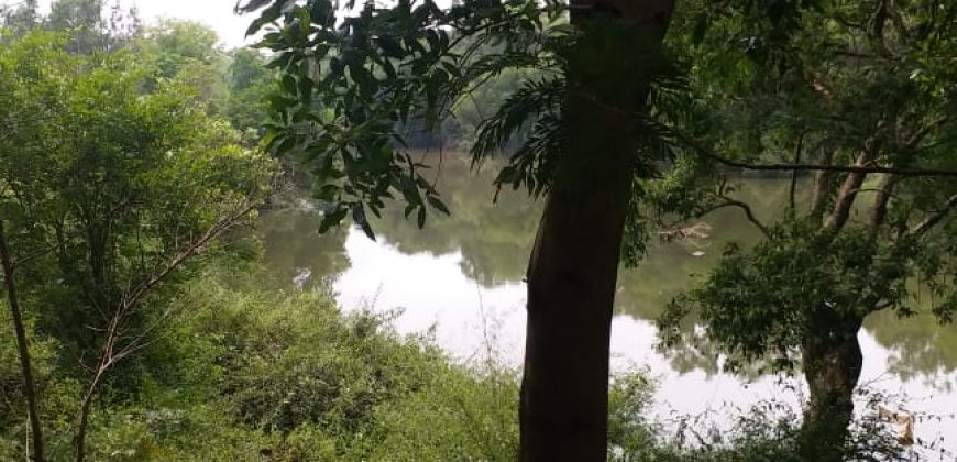 2 Acres Land Sale Kushal Nagar, Coorg