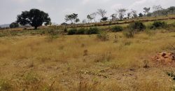 8.20 Acre Farm Property Sale Gundelpete, Mysore