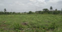 4000 Sqft West Face Residential Site Sale  Sriramapura, Mysore