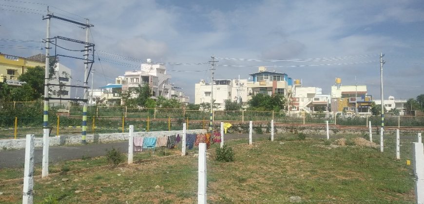 1200 Sqft West Face Residential Site Sale Near  Christ Public School, Mysore