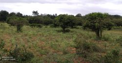 1 Acre Land Sale Bilikere, Mysore