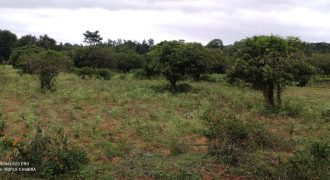 1 Acre Land Sale Bilikere, Mysore