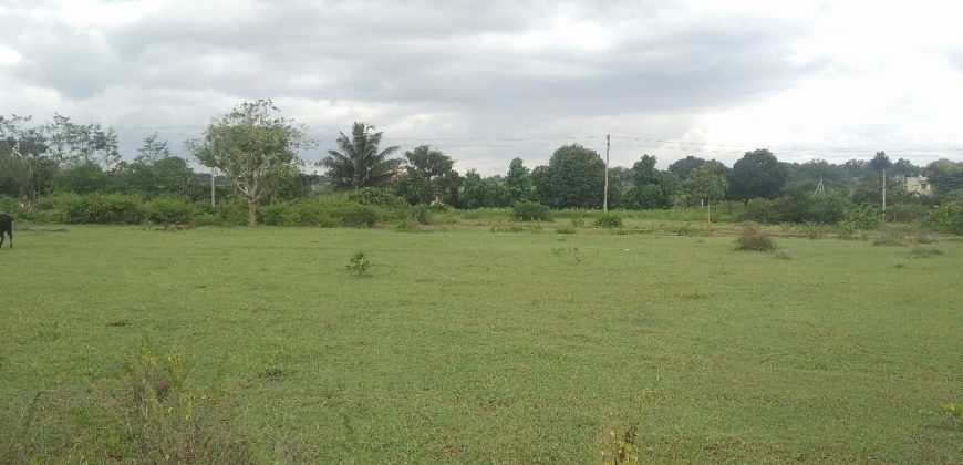 1200 East Facing Site Sale At Bramins Layout, Mysuru