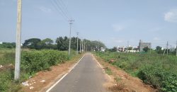 1500 Sqft West Face Residential  Site Sale Sriramapura, Mysore