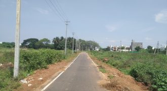 1500 Sqft West Face Residential  Site Sale Sriramapura, Mysore