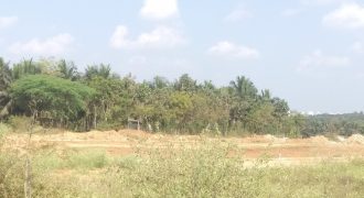 3000 Sqft North Face Residential Site Sale University Layout, Mysore