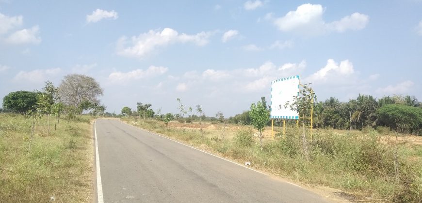 3000 Sqft North Face Residential Site Sale University Layout, Mysore