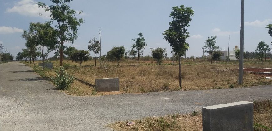 1200 Sqft North East Corner Residential Site Sale RT Nagar, Mysore