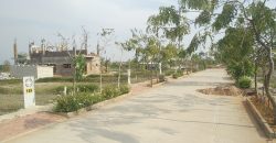 1200 Sqft East Face Residential Site Sale Lalbahadurshastri Nagar, Mysore