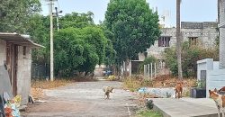 2000 Sqft South Face Residential Site Sale Sathagalli, Mysore