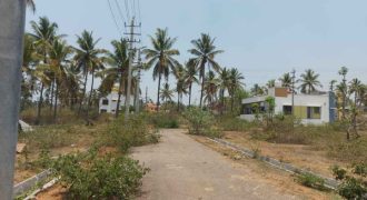 1200 Sqft Residential Site Sale Bogadi, Mysore