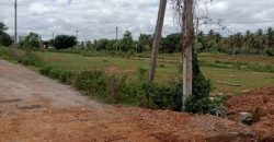 1200 Sqft South West Corner Residential Site Sale Brahmins Layout, Mysore